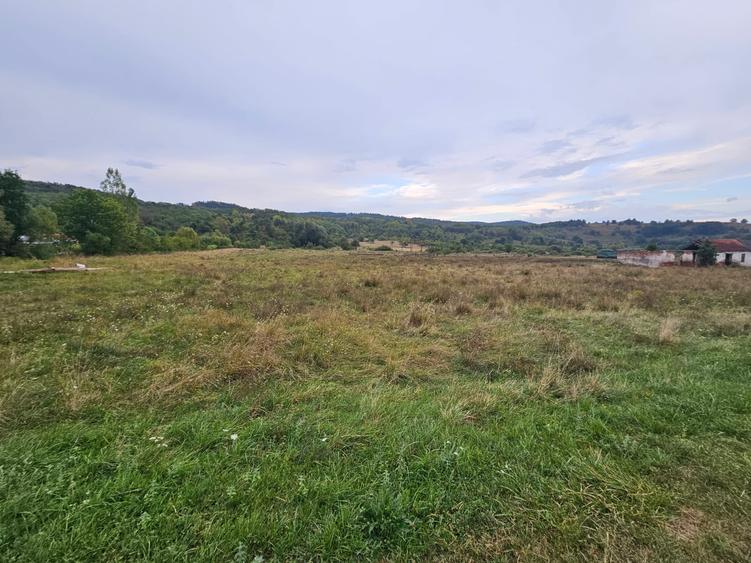 Teren Construcții intravilan de 47430 mp, în Petriș