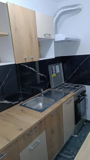 Apartament cu 2 camere semidecomandat în Craiovița Nouă