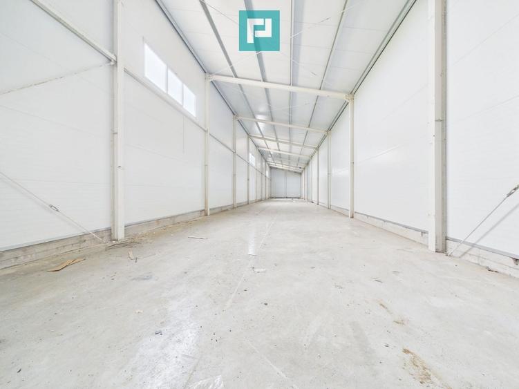 Spațiu industrial, de 563 mp, în Sânandrei