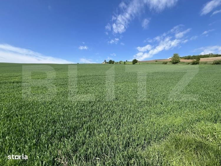 Teren generos 15.900 mp (intravilan + extravilan) in Sancraiu de Mures - 1