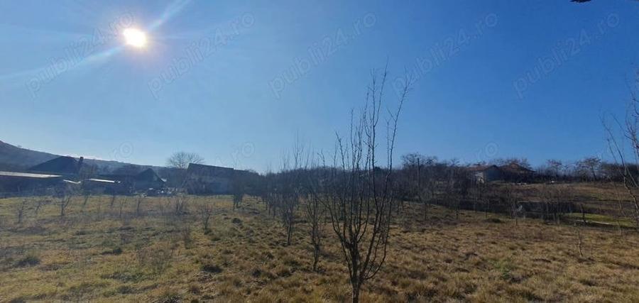 Teren de 3000 mp, în Boju