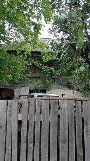 Casă cu 3 camere în Câineni