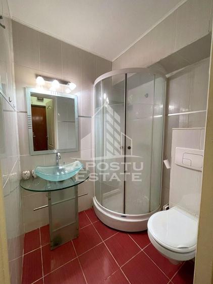 Apartament cu 2 camere de inchiriat Ultracentral Timisoara - 5