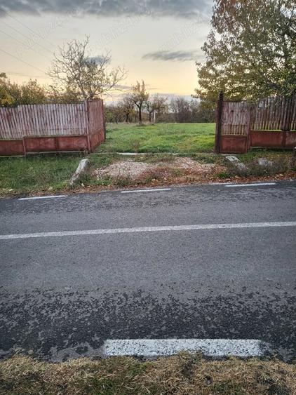 Teren de 600 mp, în Moșoaia