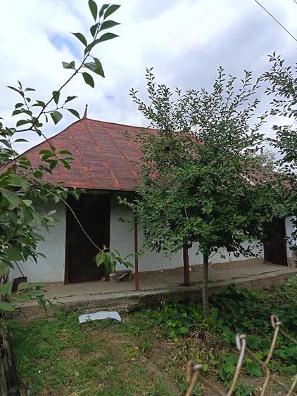 Teren de 2600 mp, în Bârla