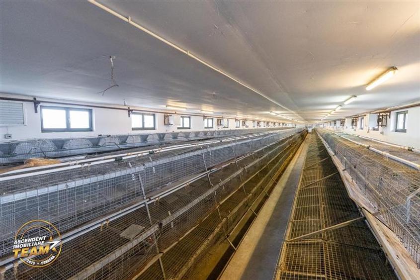 Spațiu industrial, de 794 mp, în Malnaș