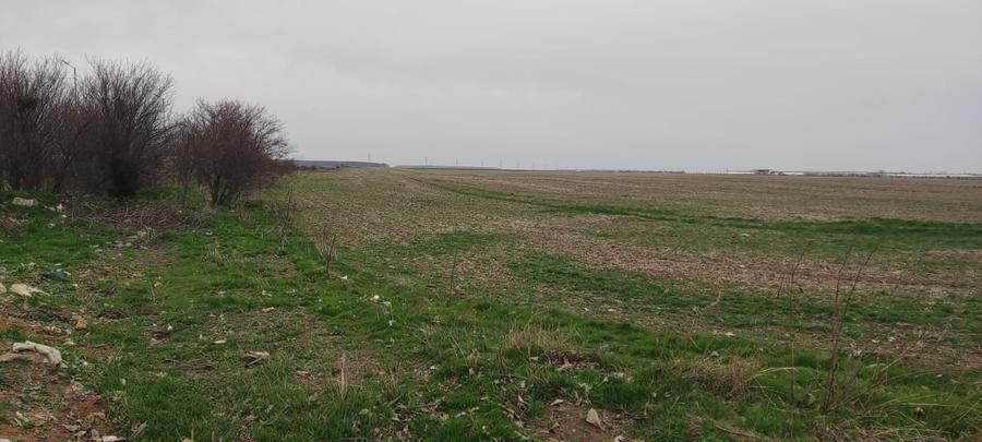 Teren Construcții intravilan de 5000 mp, în Tânganu