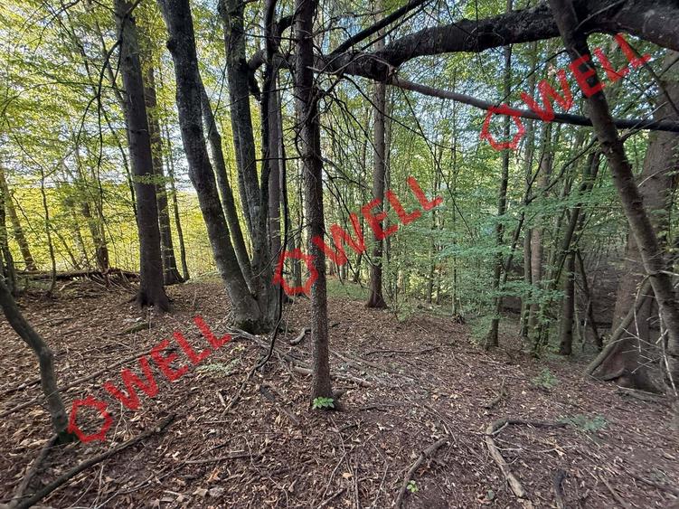 Teren intravilan de 2500 mp, în Periferie