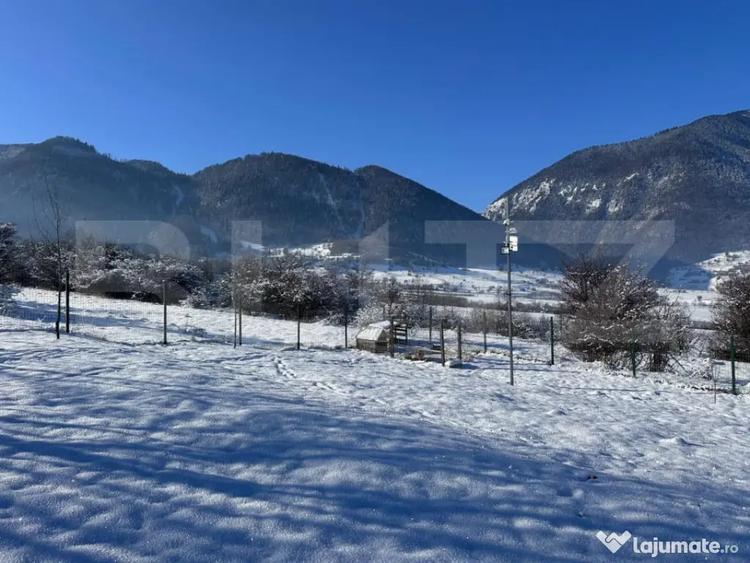 Teren de 1000 mp, în Tohănița