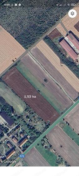 Teren de 15300 mp, în Topolovățu Mare