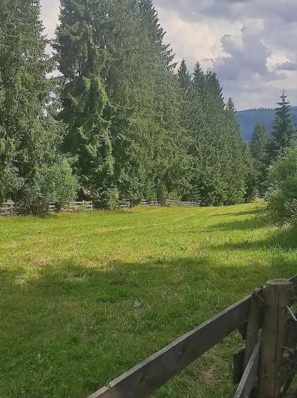 Teren de 3000 mp, în Beliș