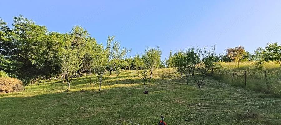 Teren de 1591 mp, în Nicula