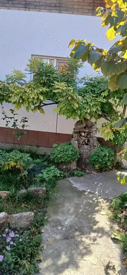 Casa de vanzare - 1