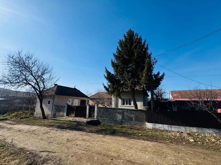 Casă cu 3 camere în Panticeu