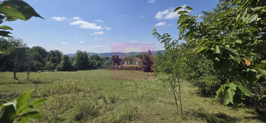 Teren Construcții intravilan de 2500 mp, în Bănești