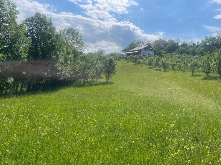 Teren de 5000 mp, în Schiulești