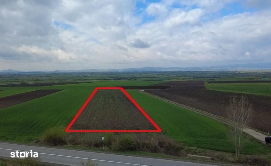 Teren de 5000 mp, în Ozun