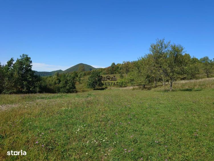 Teren de 8757 mp, în Luncoiu de Jos