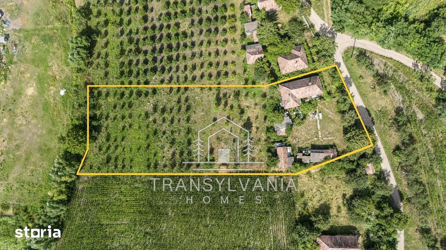 Casă cu 4 camere cu Teren 2560 Mp în Sâmboleni