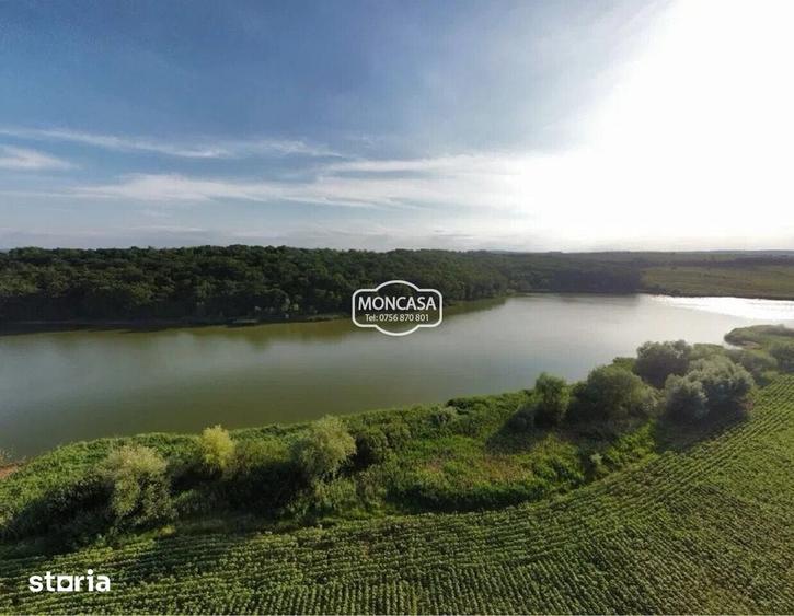 Teren intravilan cu deschidere 29 m.l la Lacul Lebada Rai - 3