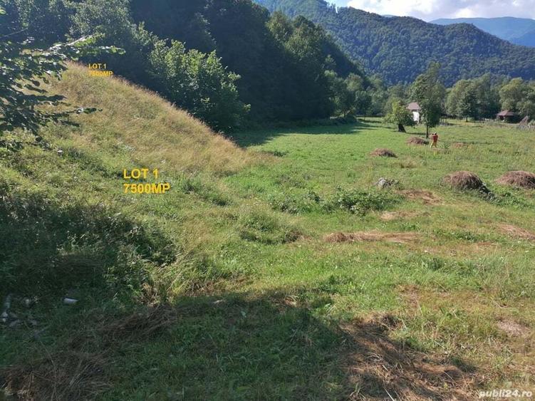 Teren în Malaia