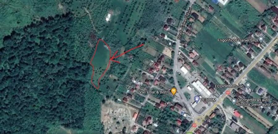 Teren de 1000 mp, în Viișoara
