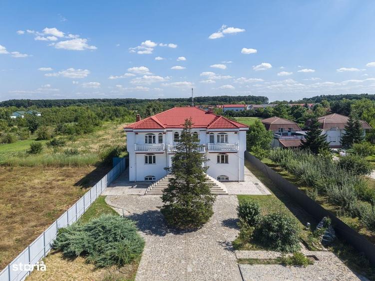 Domeniu privat 5.000 mp, cu resedinta de 625 mp si piscina, Corbeanca - 1