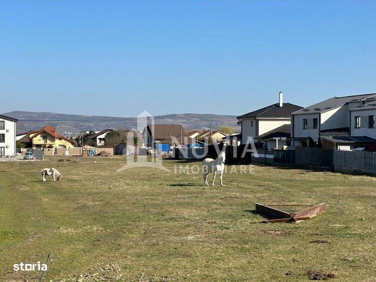 Teren de 7500 mp, în Cetate