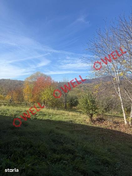 Casă cu Teren 4831 Mp în Bran