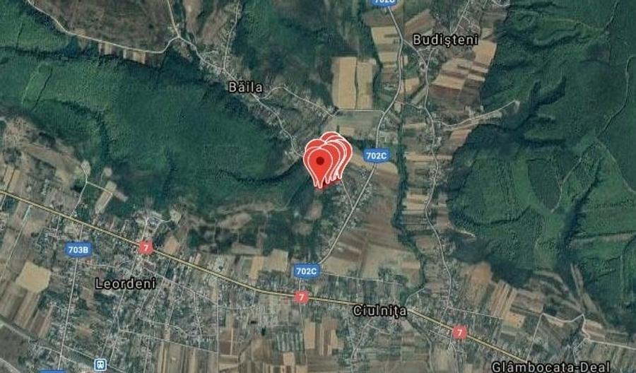 Teren Construcții extravilan de 9975 mp, în Budișteni