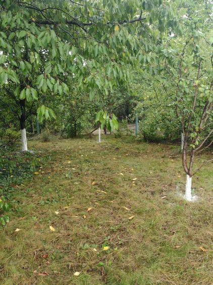 Vand teren in Bercu Rosu - 2