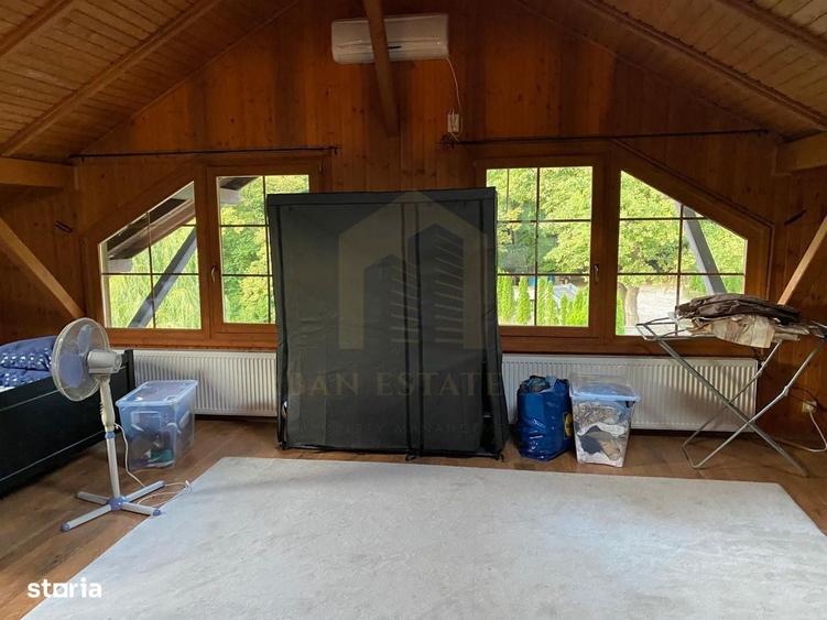 Vanzare teren 3000 mp, cabana, zona D D Rosca, Faget - 5