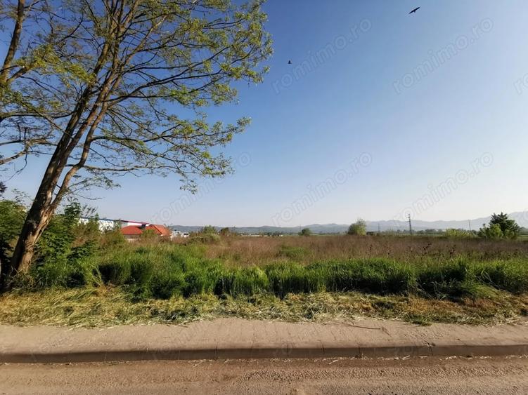 Teren de 14720 mp, în Hărăului