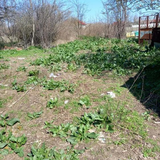 Teren de 5000 mp, în Mihai Viteazu