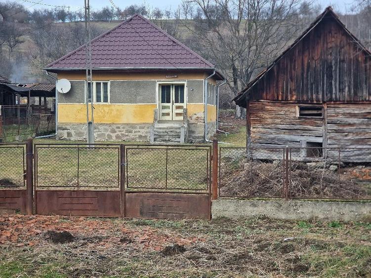 Casă cu 3 camere cu Teren 3300 Mp în Luncoiu de Jos
