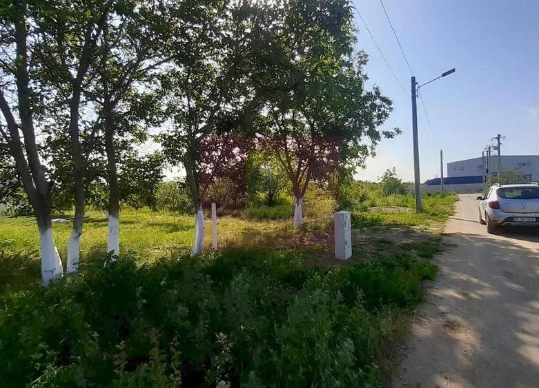 Teren de 5000 mp, în Copăceni
