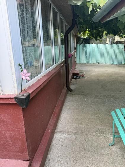 Casă cu 4 camere în Bărăganul