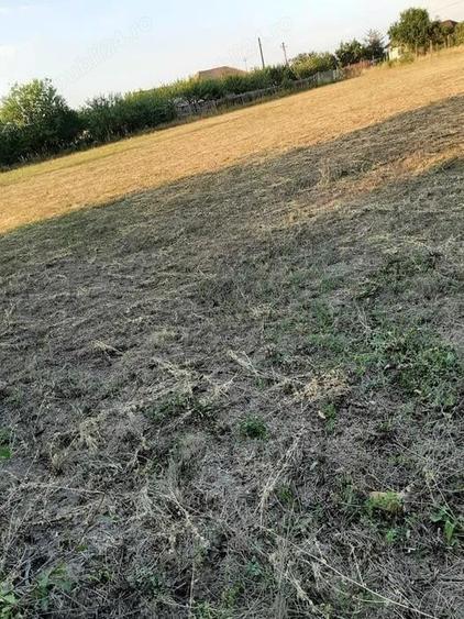 Teren de 870 mp, în Central