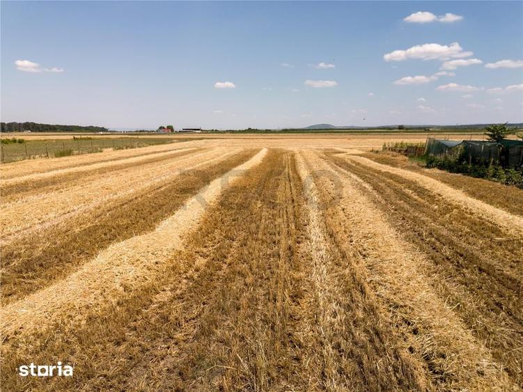 RECO Teren industrial in Nojorid la doar 6km de Oradea - 1
