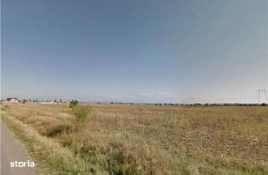 Teren de 25871 mp, în Ariceștii Rahtivani