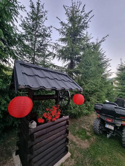 Casă cu 4 camere cu Teren 4800 Mp în Vama