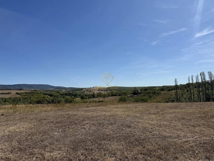 Teren de 1439 mp, în Viile Satu Mare