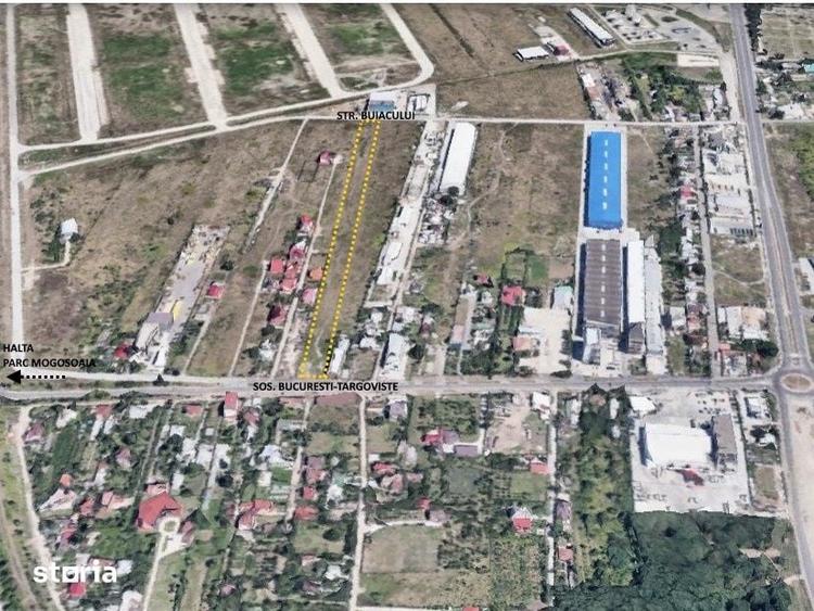 Teren de 10001 mp, în Mogoșoaia