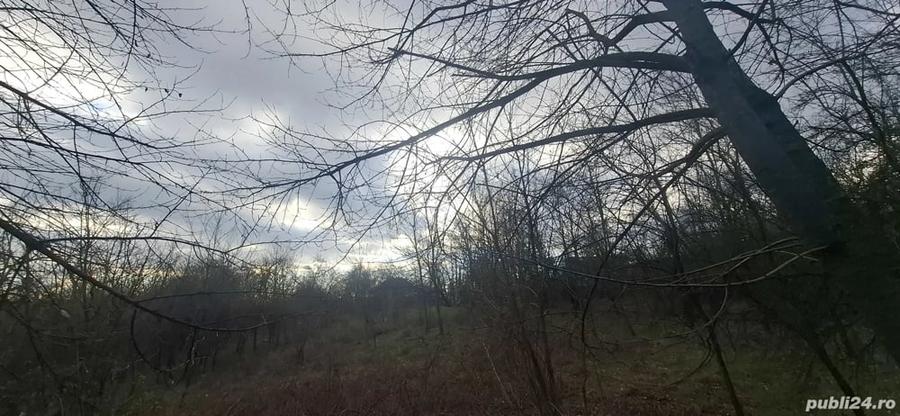 Teren de 4900 mp, în Central