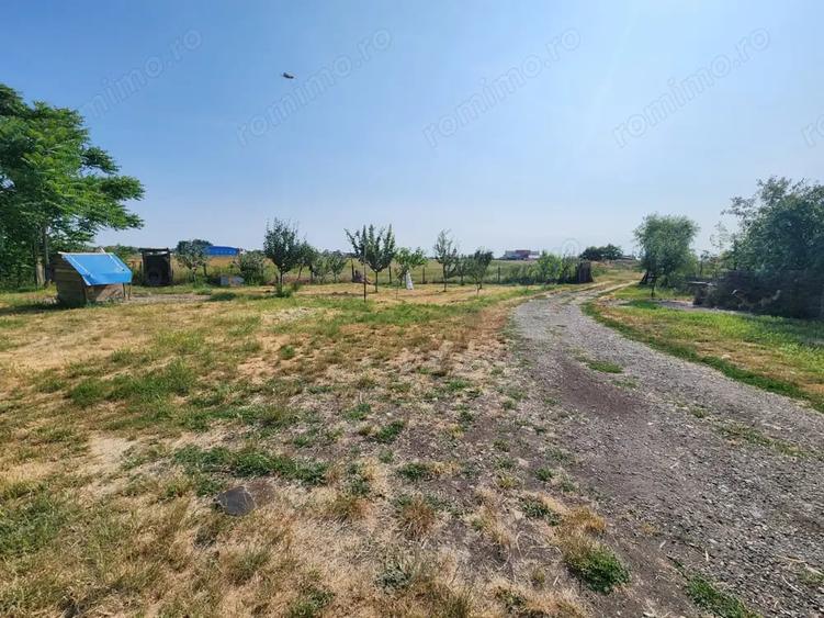 Spațiu comercial, de 600 mp, în Sânandrei