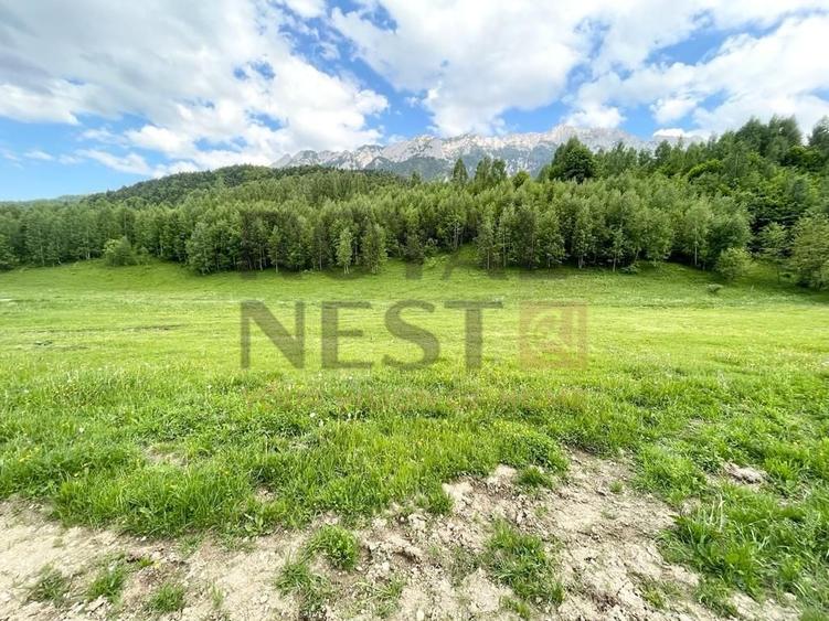 Teren Construcții intravilan de 12150 mp, în Plaiul Foii
