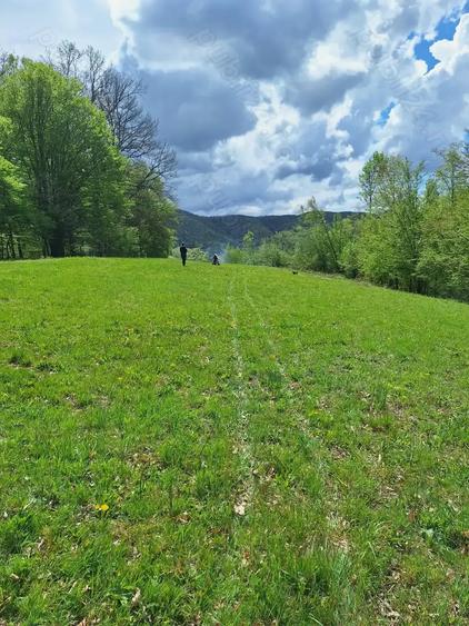 Teren de 46000 mp, în Slatina de Mureș