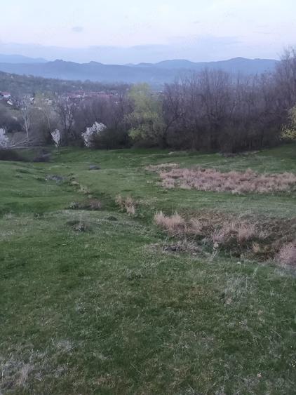 Teren de 2600 mp, în Izvoarele