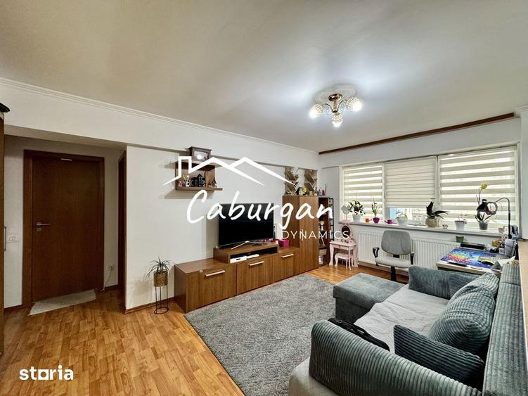 Apartament cu 2 camere decomandat în Turnișor