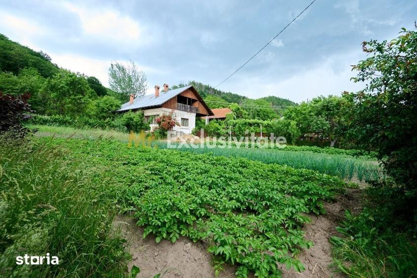 Casă cu 3 camere cu Teren 4696 Mp în Central